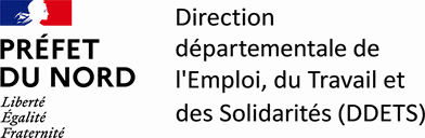 Préfet du Nord, Direction départementale de l’emploi, du travail et des solidarités (DDETS)